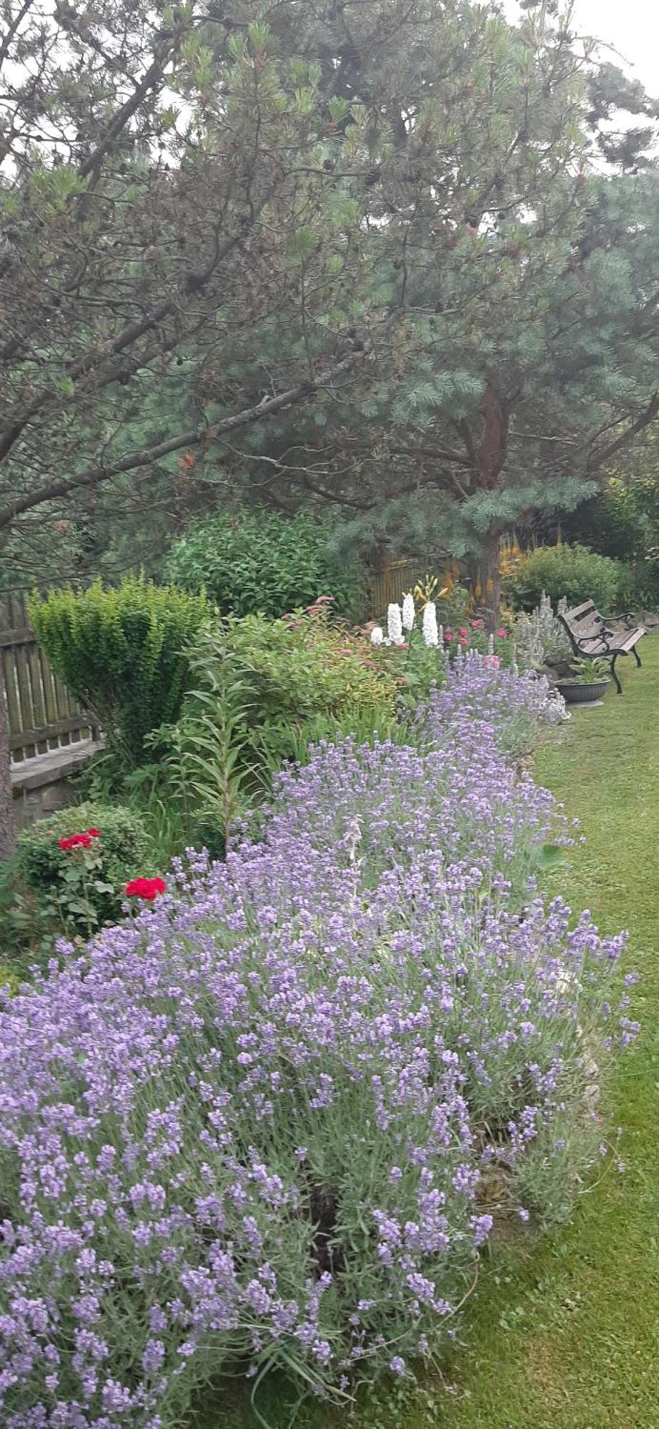 MizernaLily Garden住宿加早餐旅馆 外观 照片